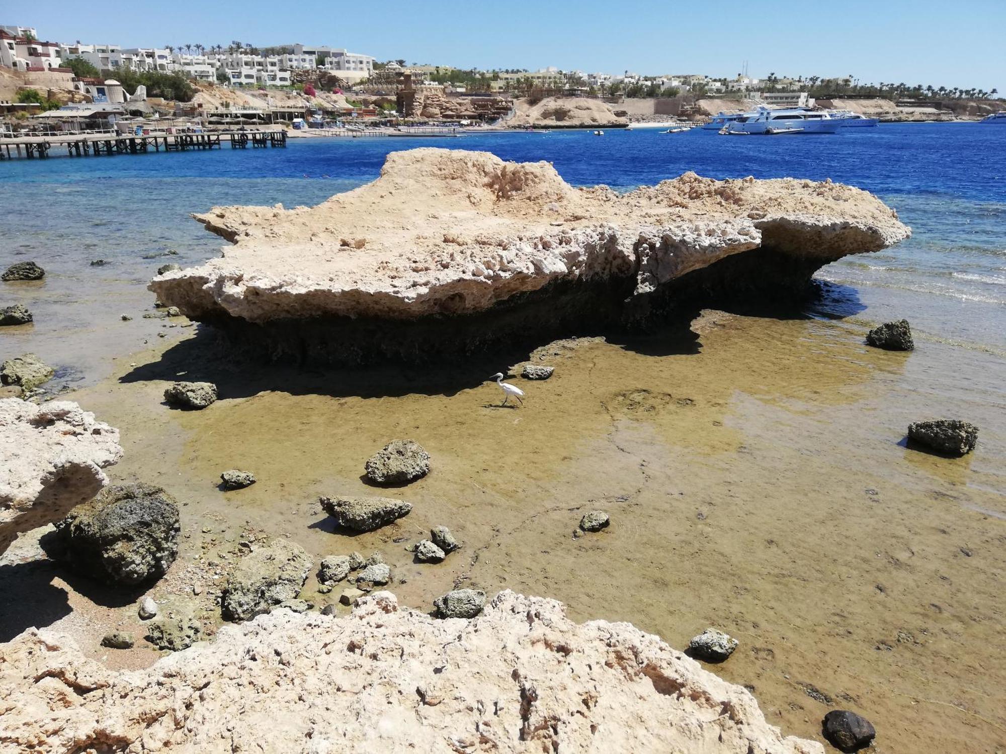 Chalet Nemo, Vista Mare, Sharks Bay, Sharm El Sheikh Villa Dış mekan fotoğraf